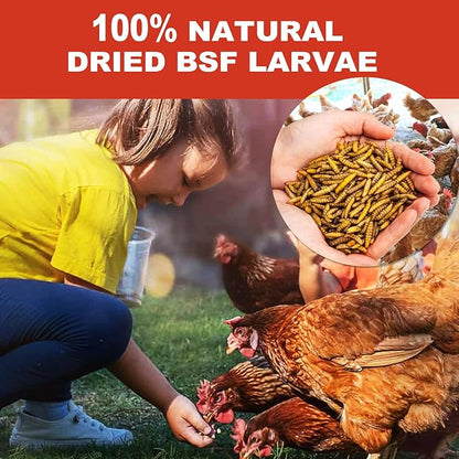 10LB Dried Black Soldier Fly Larvae, 85X More Calcium Chicken Feed Than Mealworms, 100% Natural Non-GMO BSF, Treat for Chickens, Ducks, Laying Hens, Birds