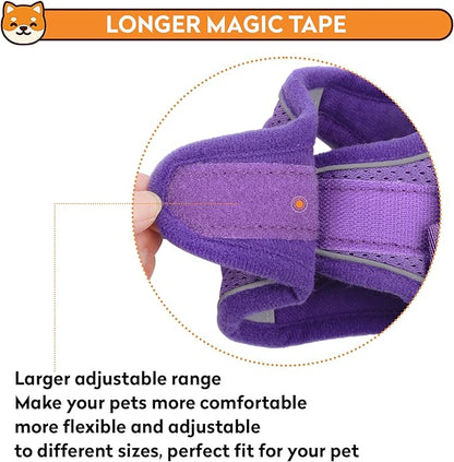 Dog Harness with Leash Set, No-Pull Step-in Reflective Pet Harness with 1 Leash Clips, Adjustable Soft Padded Easy Walk Dog Vest for Small Medium Large Dogs, Cats(Light Purple, Large)