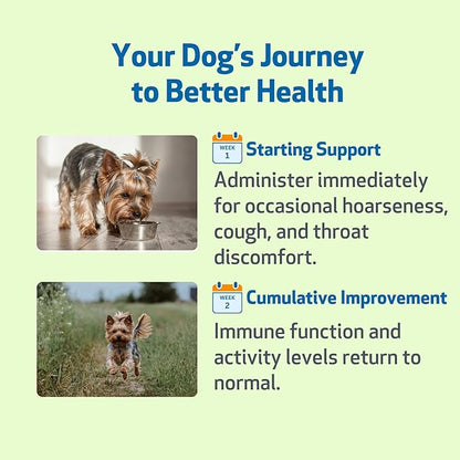 Pet Wellbeing Throat Gold for Dogs - Supports Collapsed Trachea & Throat Discomfort with Mullein & Slippery Elm for Kennel Cough - NASC Certified & Vet-Formulated 4 oz Liquid Formula
