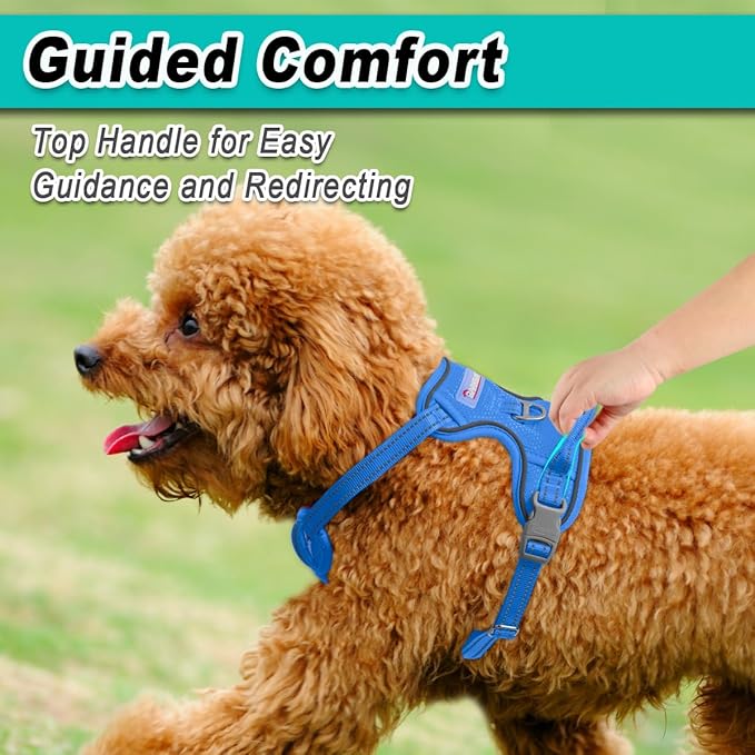BARKBAY Dog Harness No Pull Mesh for Small Dogs - Adjustable, Reflective, Comfortable, No Choke, Heavy-Duty - Perfect for Outdoor Training, Walking, and Hiking - Strong & Durable - S & Blue Mesh
