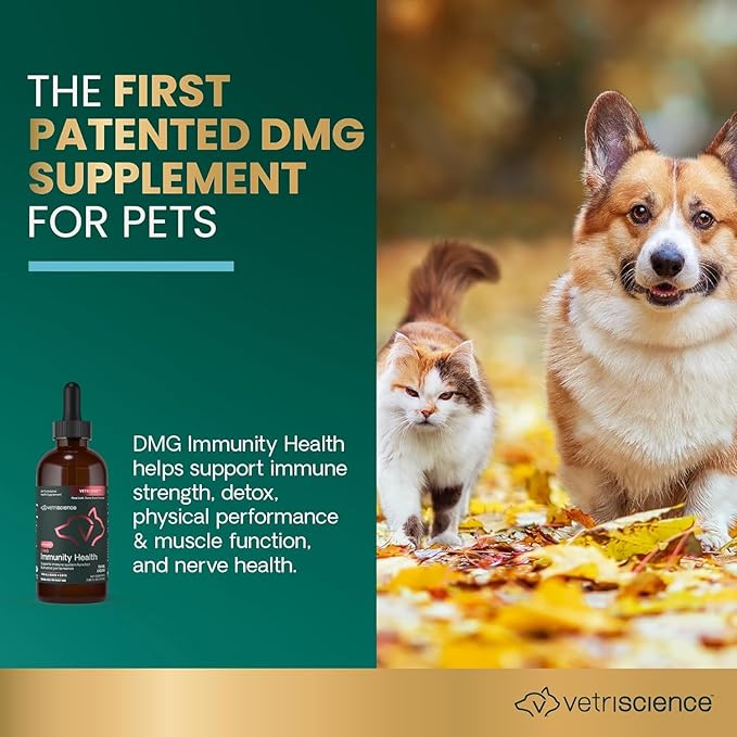 VetriScience DMG Immunity Health Easy-Dose Liquid, Immune Support Supplement for Dogs and Cats, Hypoallergenic, Support Performance, Stamina, Immune Response, (Dimethylglycine), 114 ml
