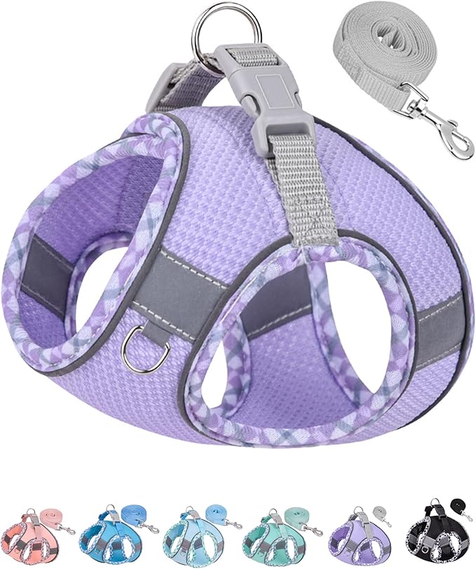 Petank Dog Harness for Small Medium Dogs No Pull, Puppy Harness and Leash Set, Step in Dog Harness for Walking, Running, Training(Purple, XS)