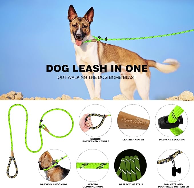 lynxking Slip Lead Dog Leash Reflective, Heavy Duty Comfortable Strong Rope for Large Medium Small Dogs No Pull Pet Training (Light Green, 2PCS Large 1/2in x 6ft)