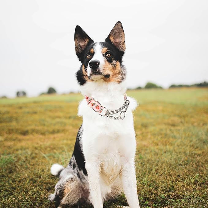 Pink Strawberry Martingale Dog Collar with Chain - No-Pull Training Collar Soft & Durable Design for Medium, Large & XL Dogs (XL Strawberry)