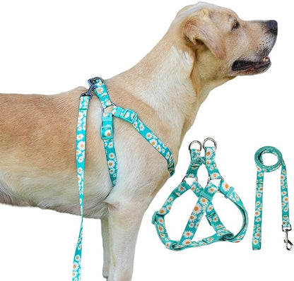 Harness and Leash Set, Floral Pattern, 5ft Matching Leash, No Pull, Easy Wear for Medium Dogs.(M, Green Daisy)