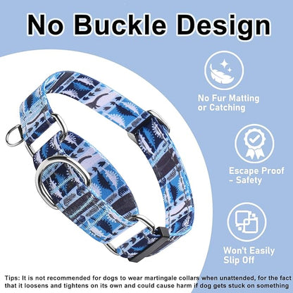 Reflective Martingale Collar for Dogs Nylon Training Collar with No Buckle, No Pull Escape Proof Dog Collar for Medium Dogs（Blue Dinosaur，M）