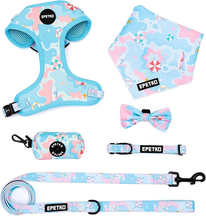 Small Dog Harness and Leash Set of 6, No Pull Soft Lightweight Mesh Puppy Harness， Adjustable Cute Floral Pattern Pet Harness for Small Medium Dogs (Blue Sea, M)