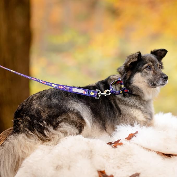 Lucky Love Dog Martingale Collar, Blue Color No Slip Collars for Large Dogs, Tropical Fish Pattern Martingale Collar, Great for Whippets, Greyhounds, and More (Mackey, Large)