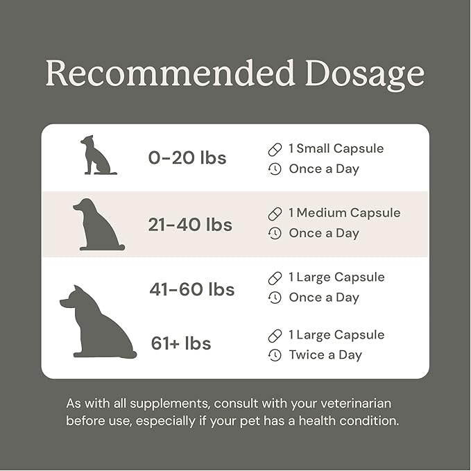 Animal Biome Probiotics for Dogs with S Boulardii, Gut Maintain (60 Capsules) – Triple-Action Medium Dog Probiotics, Prebiotics & Phage Supplements for Gut Health, Firmer Stool & Diarrhea Support