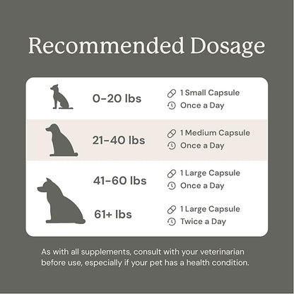 AnimalBiome Gut Maintain Multi-Strain Probiotics for Small Dogs (60 Capsules) – Triple-Action Phage, Prebiotics & Probiotic Dog Supplements for Digestive Health, Gut Health for Dogs Under 21 Pounds