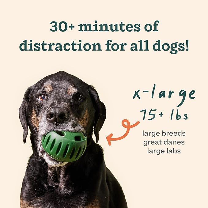 WOOF Starter Pack - Interactive Dog Ball Toy for Boredom - Dog Treat Molds Silicone - Chicken-Flavored Healthy Treats for Dogs - Pupsicle Doggy Enrichment Toy - for XL Pups - 75+ lbs