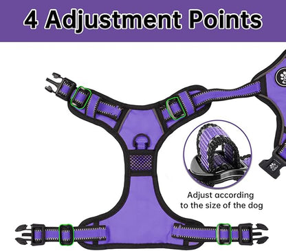 NESTROAD No Pull Dog Harness,Adjustable Oxford Dog Vest Harness with Leash,Reflective No-Choke Pet Harness with Easy Control Soft Handle for Small Dogs(Small,Purple)
