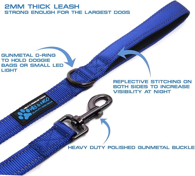 Max and Neo Reflective Nylon Dog Leash - 4 FT x 1 Inch Wide, Blue