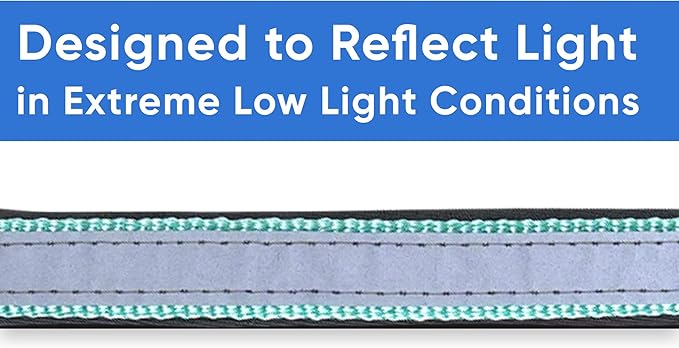 Pawtitas Lumberjack Padded Martingale Collar for Dogs | Soft Neoprene Dog Collar for Your pet's Comfort Made with Reflective Band for Maximum Visibility | Fits Small and Large Pets - Small Teal