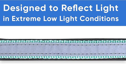 Pawtitas Lumberjack Padded Martingale Collar for Dogs | Soft Neoprene Dog Collar for Your pet's Comfort Made with Reflective Band for Maximum Visibility | Fits Small and Large Pets - XXS Teal