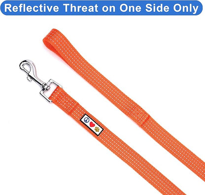 Pawtitas Orange Dog Leash 6 ft M/L Reflective Durable Lightweight Dog Lead for Medium or Large Dogs and Puppies