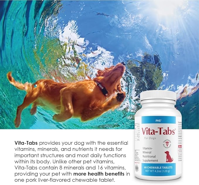 for Dogs Multivitamin & Mineral Supplement, Veterinarian Recommended Vitamin-Mineral Nutritional Support, Daily Chewable Tablets for Skin Coat Energy & Overall Wellness, 60 Chewable Tablets (4.2 oz)