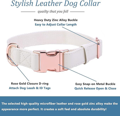 Dog Collar and Leash Set.Soft and Easy to Clean Vegan Leather with Rose Gold Metal Buckle for Small Medium Large Dogs (Off-White, XS(8"-12"))