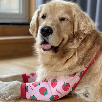 HDKUW Dog Elbow Protector, Dog Front Leg Recovery Sleeve for Prevent Licking Wound, Elbow Sleeves with Mesh Pad for Medium Large Dogs