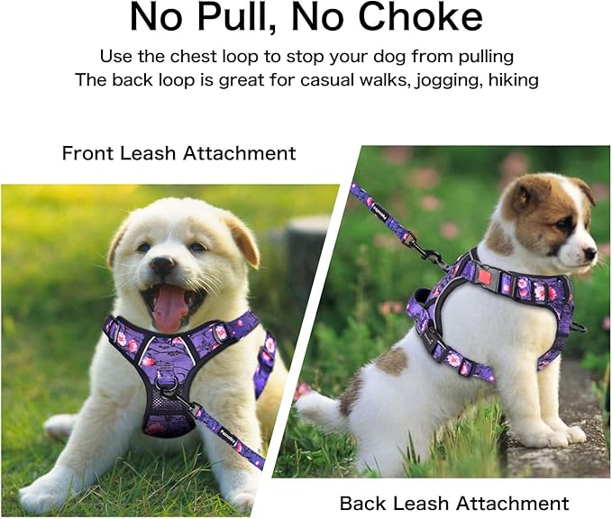 Petmolico No Pull Dog Harness Set with Leash Attachment Easy Control Handle Reflective Harness Vest Small Breed, Puppy Vest and Leash Set with Poop Bag Holder, Medium - Purple Peach