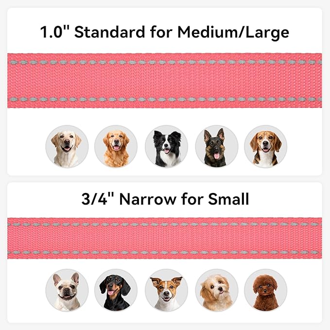 Joytale Dog Leash, 5 FT Double-Sided Reflective, Padded Handle Nylon Heavy Duty Leashes for Small Dogs Walking, Neon Pink