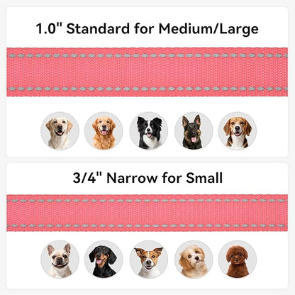 Joytale Dog Leash, 6 FT Double-Sided Reflective, Padded Handle Nylon Heavy Duty Leashes for Small Dogs Walking, Neon Pink