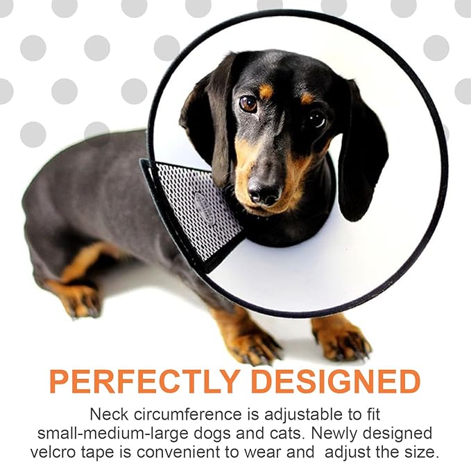 Generic Adjustable Dog Recovery Cone Collar, Transparent PVC, Extra Large (17.1" - 19.7")
