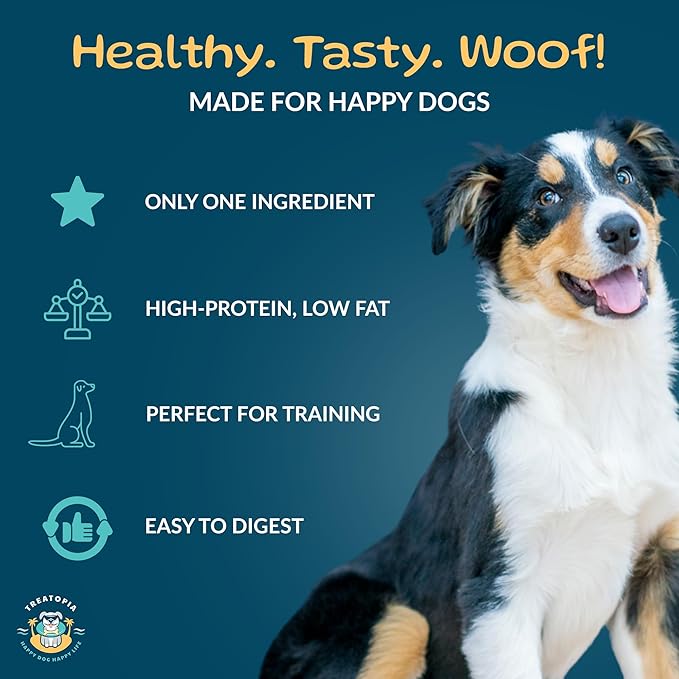 TREATOPIA Beef Liver Nuggies Dog Treats, 16 Ounce Bag - All-Natural, Sustainable, Healthy, High Protein, Hand-Trimmed, Slow-Roasted, Made in The USA, Nutritious, No Additives, No Fillers