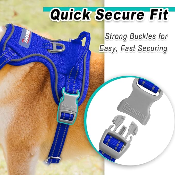 BARKBAY Dog Harness No Pull Mesh for Small Dogs - Adjustable, Reflective, Comfortable, No Choke, Heavy-Duty - Perfect for Outdoor Training, Walking, and Hiking-Strong&Durable- XS & Sapphire Blue Mesh