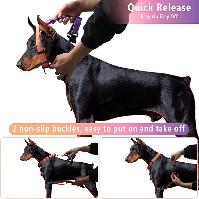 Roses&Poetry Dog Harness Large Breed, Adjustable No Pull Vest Harness and Leash Set, Reflective Puppy Harnesses with Comfort Padded Handle for Pet Training Outdoor Walking（Mistyrose-XL