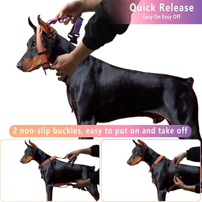 Roses&Poetry Dog Harness for Large Dogs, No-Pull Dog Harness and Leash Set Adjustable Reflective, Dog Vest Harnesses Comfort Padded Handle, Pet Harness for Training Outdoor Walking（Mistyrose-L