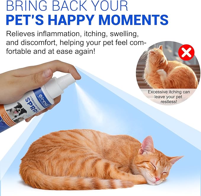 ALIVO Hydrocortisone Spray for Dogs & Cats - Itch Relief Spray & Hot Spot Treatment for Dogs, Supports Irritated Dry Itchy Skin & Skin Allergies, Skin Infections & Irritations Relief - 120ml / 4 oz