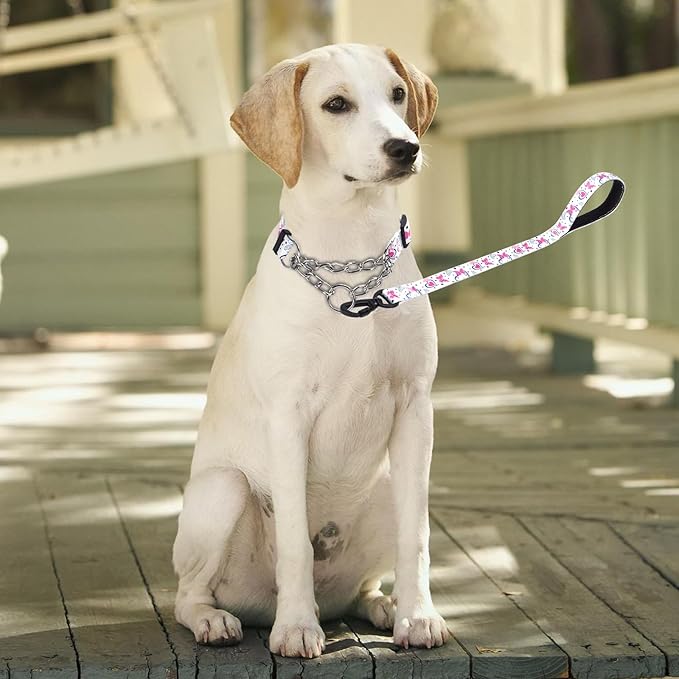 Martingale Dog Collar and Leash Set, Stainless Steel Chain, No Pull Training Collar with Flower Design, for Small, Medium, Large Dogs (NO13, L)