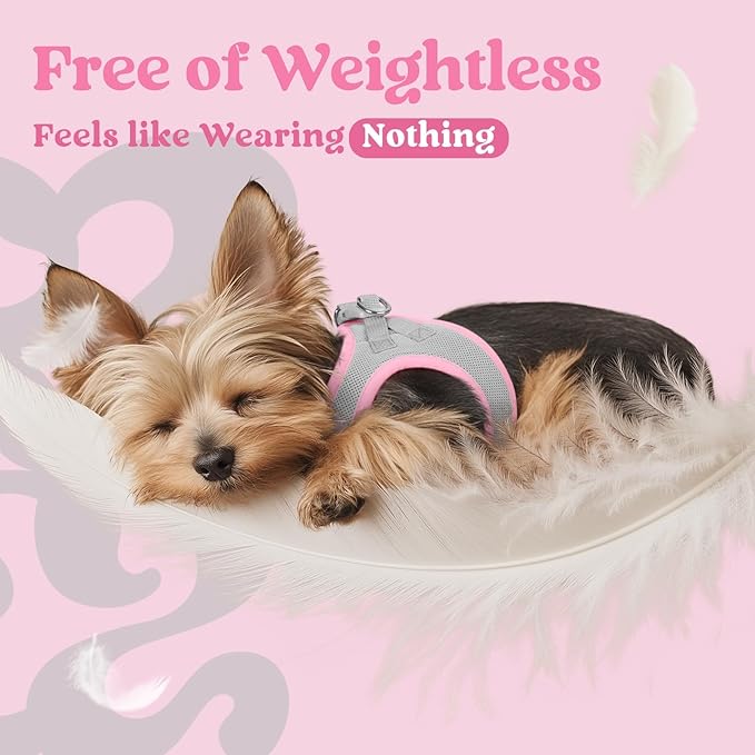 rabbitgoo Small Dog Harness, Step-in Soft Mesh Puppy Vest with Safety Buckle, Breathable Reflective Pet Harness for Small Sized Dogs, Pink & Gray M