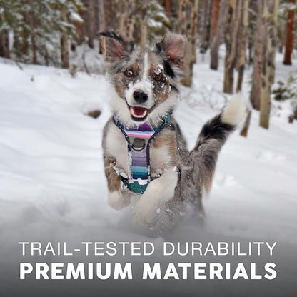Embark Adventure Dog Harness, Reflective Trim XL Dog Harness for Extra Large Dogs No Pull - Military Grade Nylon, 2 Leash Clips & Gel Lined Handle. Soft & Padded Puppy Dog Harnesses for Any Breed