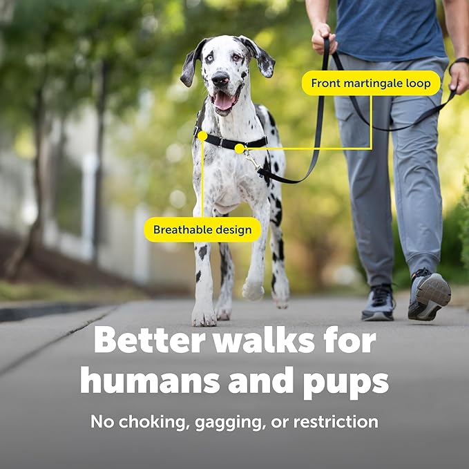 PetSafe Easy Walk Harness for Dogs - Pull-Free Walks - Patented Martingale Loop Design - Front Chest Leash Attachment - Comfort Straps - Breathable Harness Design - X-Large, Charcoal/Black