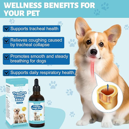 Yakucho Collapsed Trachea Treatment Liquid for Dog, 3.4 FL OZ Trachea Cough Elixir, Herbal Throat & Airway Comfort Formula for Dogs, Daily Respiratory Wellness Support, Easy to Administer