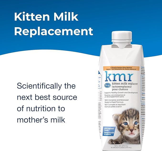 PetAg KMR Kitten Milk Replacer Liquid - 16 oz - Ready-to-Feed Formula with Vitamins for Newborn Kittens to 1 Year - Easy to Digest
