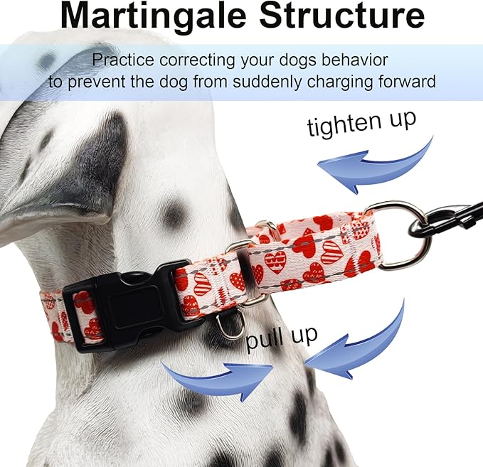 Valentines Reflective Martingale Collar for Dogs with Quick Release Buckle Cute Girl No Pull Dog Collars (Red Heart, Medium)