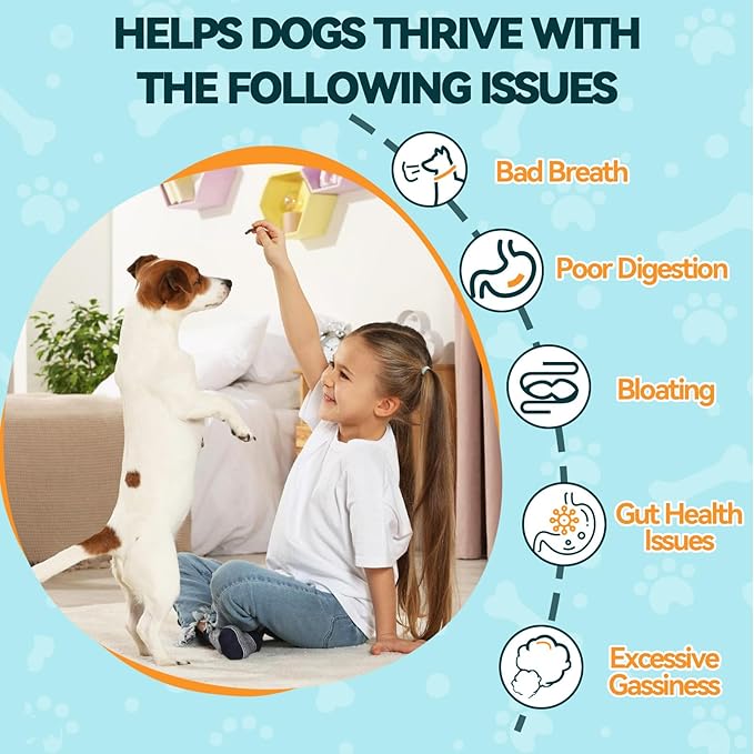 Probiotics for Dogs, Dog Probiotics for Yeast, Itchy Skin and Itchy Ears, Allergies, Immunity, Dog Gut Health Probiotic for Digestive Enzymes & Prebiotics for Diarrhea & Gas Relief (Chicken, 200 Chew)