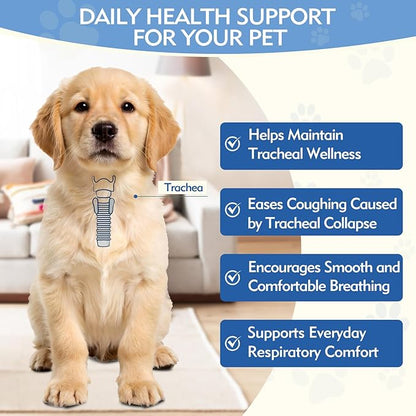 3.4 FL OZ Dog Tracheal Collapse Support Drops, Trachea Cough Elixir, Herbal Respiratory Support for Dogs, Helps Ease Throat & Airway Irritation and Maintain Healthy Tracheal Function (Chicken Flavor)