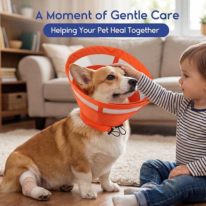 ASENKU Dog Cone Collar, Protective Recovery Dog Collar After Surgery, Comfy Adjustable Cone for Dogs to Stop Licking, Pet E-Collar for Small, Medium & Large Dogs(Orange, S)