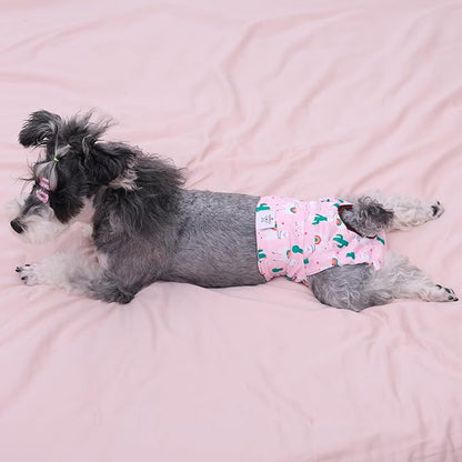 CuteBone Dog Diapers Female Washable Small Medium Large 3 Pack Reusable Doggie Diapers Puppy Period Pants for Doggy Heat Cycle Peeing D31L