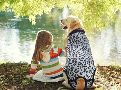 Dog Surgical Recovery Suit, After Spay Abdominal Wounds Post Surgical Suit for Dogs Female Male Dog Onesies, Anti Licking Breathable Dog Shirt for Small Large Dogs, Dog Surgery Collar Alternatives