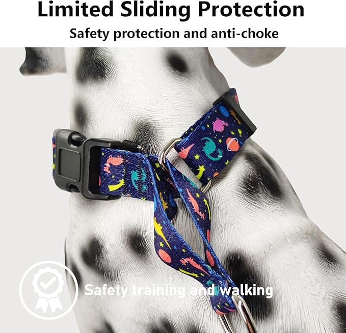Martingale Collar for Dogs with Buckle No Pull Adjustable Nylon Limited Slip Training Dog Collars (Blue Dinosaur, Medium)