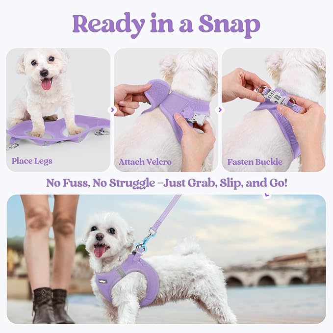 rabbitgoo Dog Harness Small Sized and Leash Set, Step in Soft Light Puppy Vest, Breathable Mesh Pet Harness, Reflective for Safe Easy Walking, Light Purple M