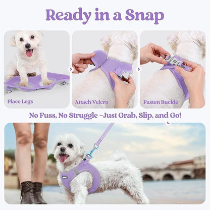 rabbitgoo Dog Harness Small Sized and Leash Set, Step in Soft Light Puppy Vest, Breathable Mesh Pet Harness, Reflective for Safe Easy Walking, Light Purple M