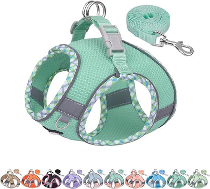 AIITLE Small Dog Harness - Breathable Double-Layer Jacquard No-Choke Vest, Durable Anti-Tear Fabric with Reflective Trim - Perfect for Running, Parties, Daily Walks (Turquoise, XS)