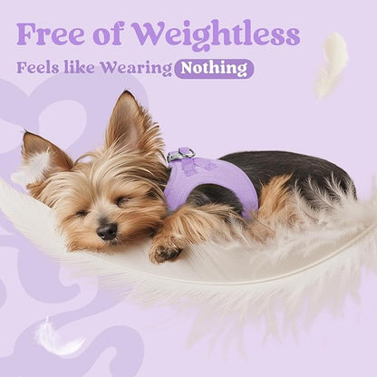 rabbitgoo Small Dog Harness, Step-in Soft Mesh Puppy Vest with Safety Buckle, Breathable Reflective Pet Harness for Small Medium Dogs, Light Purple XL