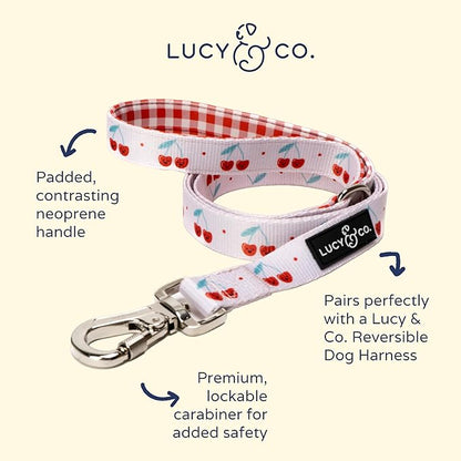 Lucy & Co. Cheery Cherries - Designer Dog Leash for Small to Large Dogs - Padded Handle for Comfort - Large, Red Gingham Cherries - 5 Foot